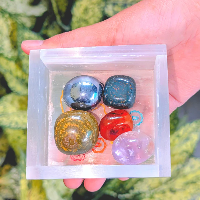 Newest Products